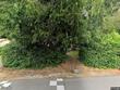 7707 sw pine st, portland,  OR 97223