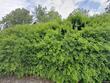 8918 sw grabhorn rd, beaverton,  OR 97007