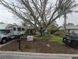 1884 san mateo dr, dunedin,  FL 34698