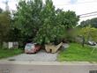 8110 macoma dr ne, saint petersburg,  FL 33702