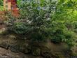 4632 sw 18th pl, portland,  OR 97239