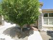 1191 flintwood dr, carson city,  NV 89703