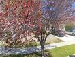 2740 darcy ct, sparks,  NV 89436