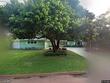 1515 serpentine dr s, saint petersburg,  FL 33705