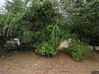 31200 sw peach cove rd, west linn,  OR 97068