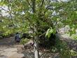2257 se 76th ave, portland,  OR 97215