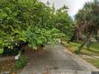 8781 rue chateaux dr, seminole,  FL 33777