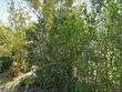1246 37th ave n, saint petersburg,  FL 33704