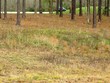  ellisville,  MS 39437