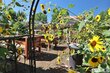 914 glen martin dr, sparks,  NV 89434