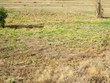  ellisville,  MS 39437