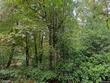 673 s center st, oregon city,  OR 97045