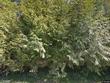7007 sw robbins rd, tualatin,  OR 97062