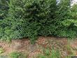 5008 sw taylors ferry rd, portland,  OR 97219