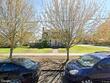 7406 n wall ave, portland,  OR 97203