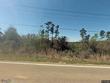 2 a busby rd, ellisville,  MS 39437