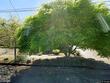 7406 n ivanhoe st, portland,  OR 97203