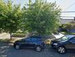 4134 n concord ave, portland,  OR 97217
