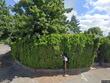 4905 se flavel dr, portland,  OR 97206