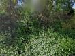 24347 nw reeder rd, portland,  OR 97231