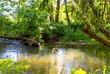24115 nw meacham rd, north plains,  OR 97133