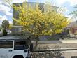 542 7th st, sparks,  NV 89431