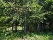 1103 n 7th ave, laurel,  MS 39440