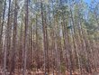 20.58 ac williamson road, alton,  VA 24520
