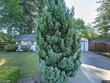 300 sw 141st ave, beaverton,  OR 97006