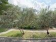 202 39th ave s, saint petersburg,  FL 33705