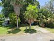 645 george st s, tarpon springs,  FL 34688