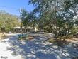 182 margie st, palm harbor,  FL 34683