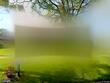 2165 13th ave sw, largo,  FL 33770