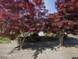 2423 se woodward st, portland,  OR 97202