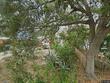 1004 magnolia dr, clearwater,  FL 33756
