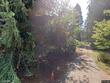 619 ne hood ct, hillsboro,  OR 97124