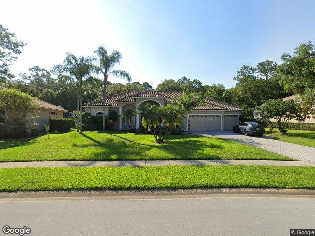 4931 turtle creek trl, oldsmar,  FL 34677