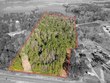 000 us-84, laurel,  MS 39443