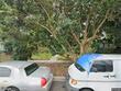 2710 8th ave n, saint petersburg,  FL 33713