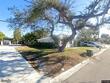 1122 brownell st, clearwater,  FL 33756