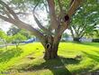 3700 56th st n, saint petersburg,  FL 33710