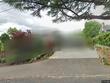 3825 sw jerald ct, portland,  OR 97221