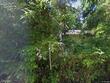18977 barton rd, lake oswego,  OR 97034