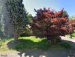 6325 sw 50th ave, portland,  OR 97221