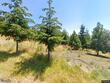12148 sw turnagain dr, tigard,  OR 97224