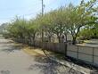 11300 harbor way #1731
                                ,Unit Apt 1731, largo,  FL 33774