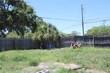 12572 tree st, largo,  FL 33773