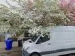 1238 se 36th ave, portland,  OR 97214