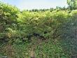 2628 sw patton ct, portland,  OR 97201
