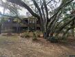 204 lennox rd w, palm harbor,  FL 34683